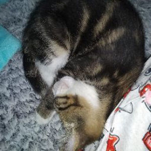 Meet your Posher, Alivia